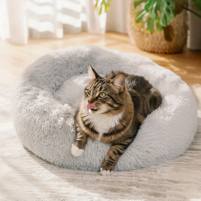 Best Calming Bed for Cats: Create a Cozy and Stress Free Space for Your Feline Friend