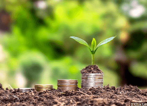 5 Ways Successful Venture Capitalists Can Leave a Legacy Through Charity