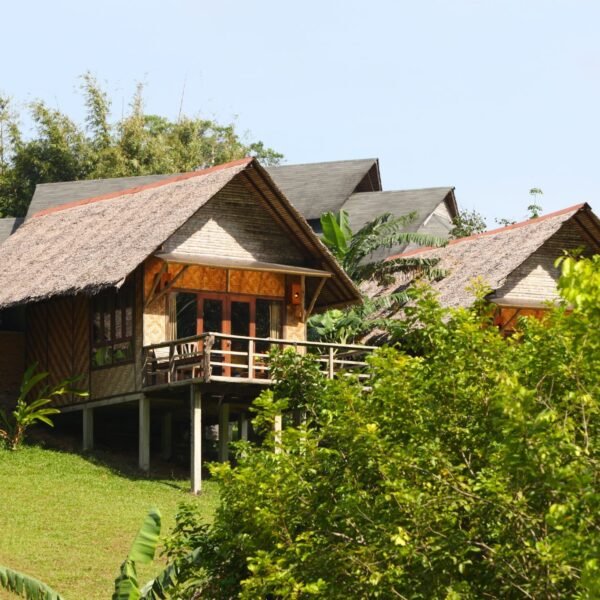 Why Energy Efficiency Should Be Considered During the Home Design Stage